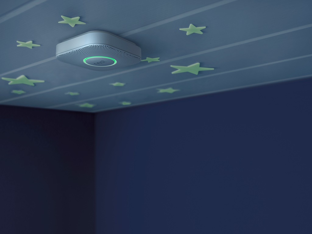 Google's acquisition of Nest could lead to a wide range of smart energy saving gadgets