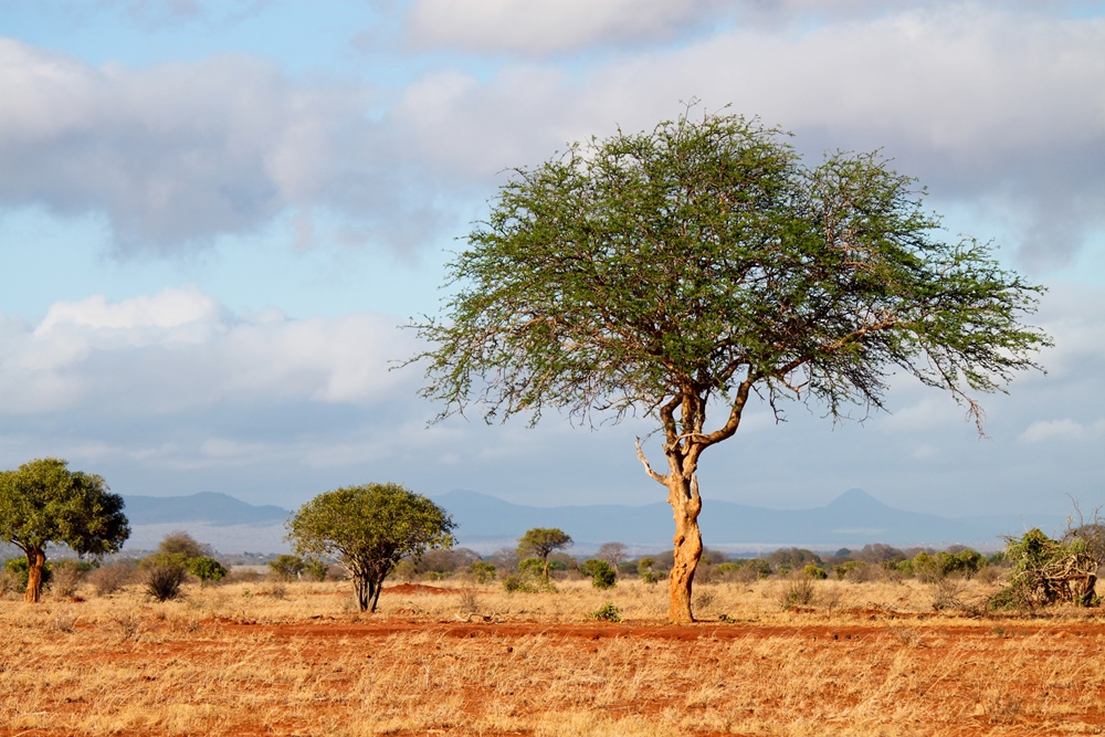 The UN has warned that sustainable energy use must treble