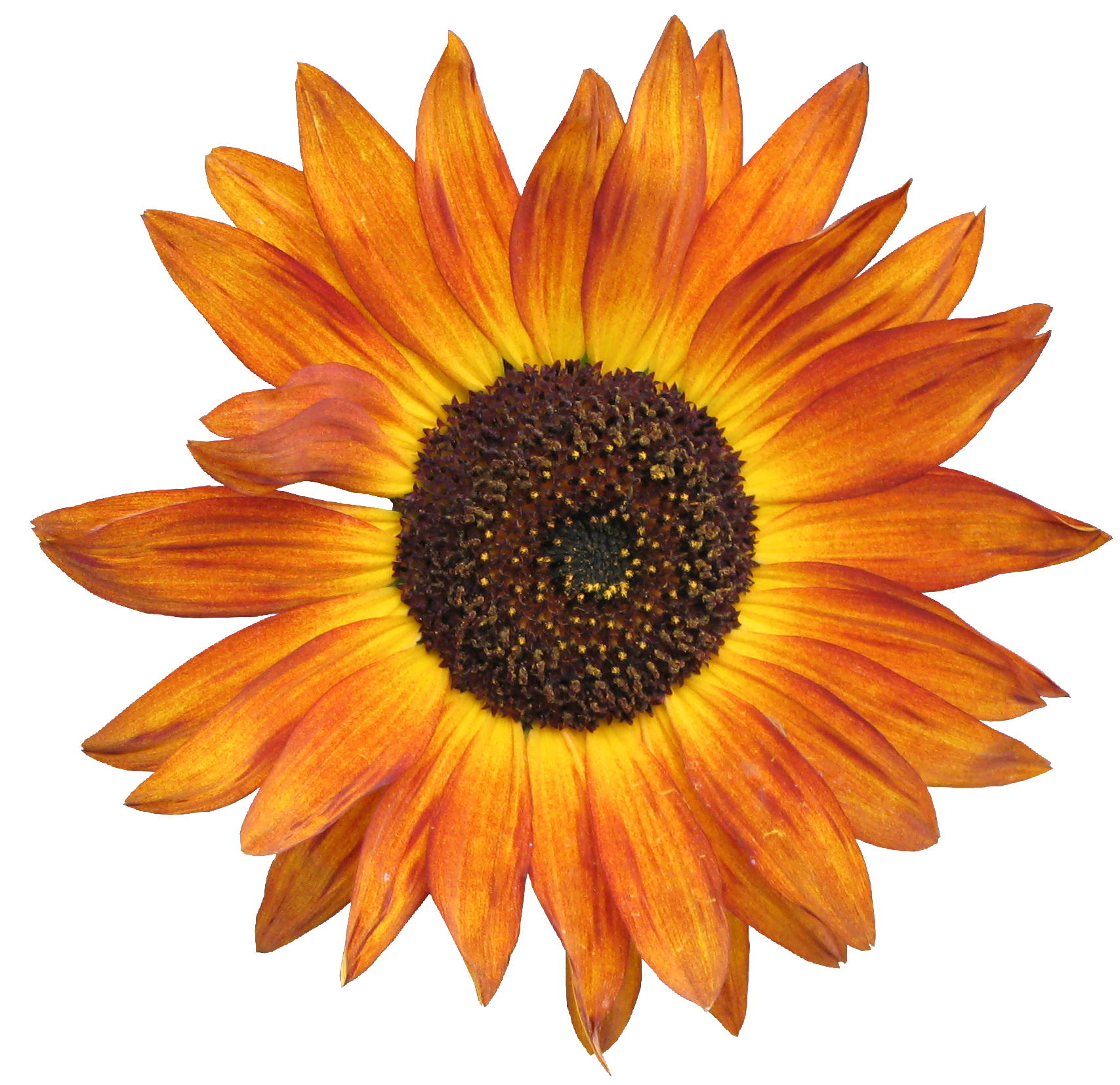 We've got five tips on saving energy during the hot summer months