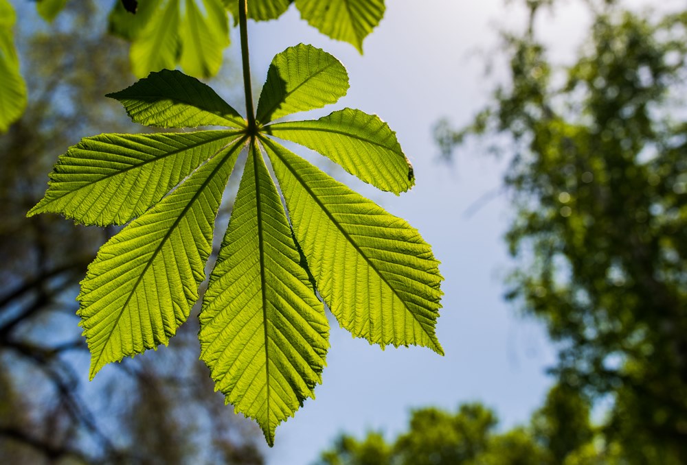 Suppliers will need to justify the higher prices paid by customers on green plans