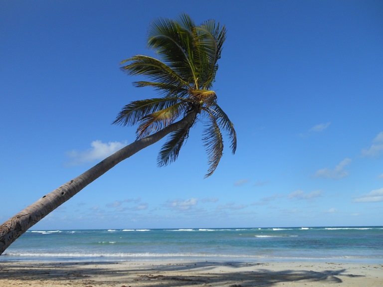 Five tips to save energy and money during the summer months